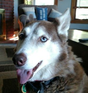 juneau face