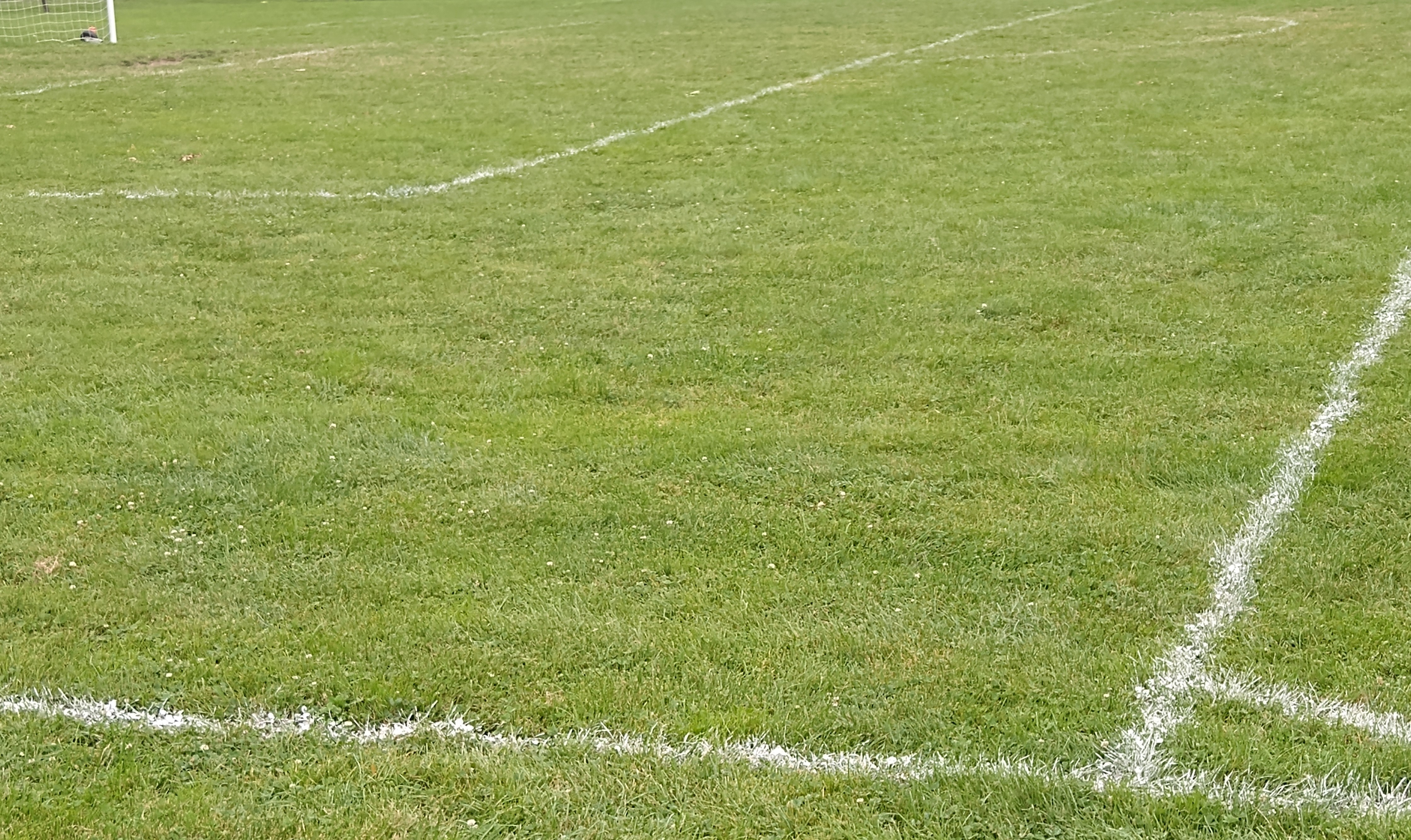 Soccer Field